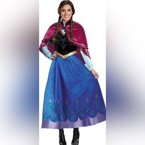 Anna Blue and Pink Princess Costume Dress